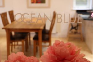 Trebetherick Ocean Blue Holiday apartment Cornwall through the glass